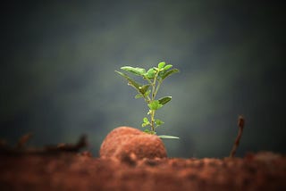 The Subtle Difference Between Self-care and Soul-care