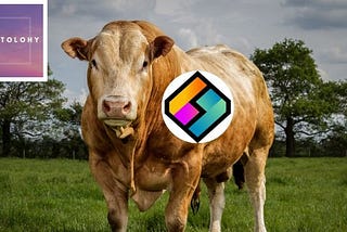 5 Reasons why I am bullish on the future of LBC