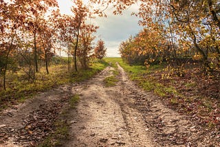 Along a Quiet Dirt Road