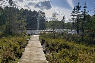 How Small Farms Can Thrive During the Pandemic, According to Bryce Oxford — iCrowdNewswire