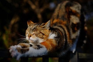 A Long, Slow Stretch