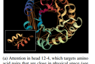 Deep Learning and its Contributions to the Interpretability of Protein Sequences and Tertiary…