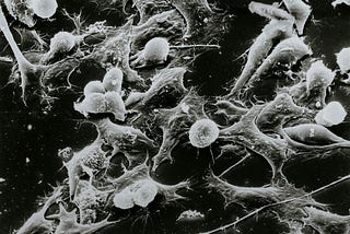 How AI Is Revolutionizing Diagnosis, Drug Discovery, and Patient Outcomes