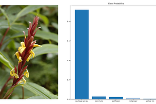 Image classification with Tensorflow transfer learning