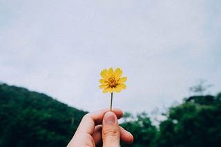 關於26歲這件事