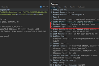 Bypassing CSP via URL Parser Confusions : XSS on Netlify’s Image CDN