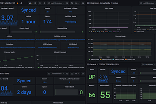 Testing Sentry Node Architecture on Radix STOKENET