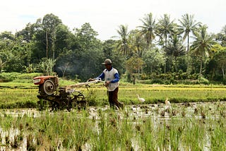 5 Problems That Make Indonesian Farmers are Not Free Yet