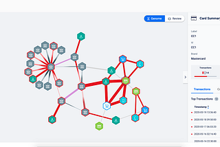 Empowering Fast Graph Visualizations for Fraud Detection (or Why We Built Our Own Graph Database)