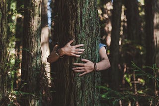 Why it’s Time to Hug a Tree