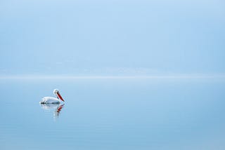 Clearing the Clutter to Create Clarity