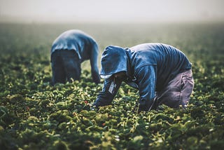 Seeing Both Sides of the Immigration Issue