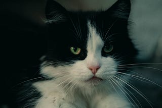 Image segmentation of rotating iPhone with scikit-image