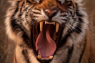 Courage Doesn’t Roar.