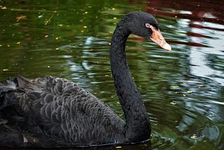Black Swan Investment: How to outperform the market by rare events