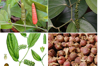 Spices in a 14th-Century Javanese Inscription