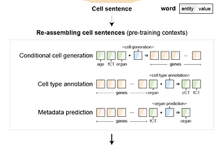 Foundation models for single-cell RNA-seq