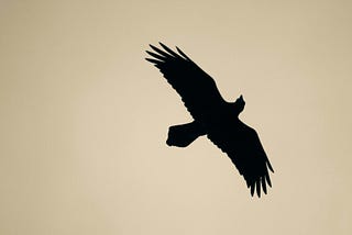 flying eagle