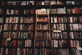 Love Among the Bookshelves