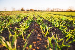 Many economic, social, and environmental problems stem from a lack of transparency within supply…