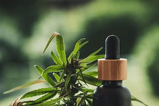 HUR ANVÄNDER MAN CBD FÖR BÄSTA RESULTAT?