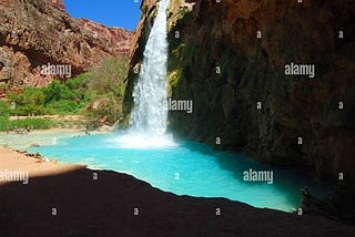 5 Must See Things At Havasu Falls Guided Tours 2024