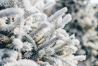 What if the greatest gift wasn’t under the tree?