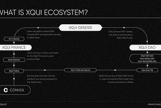 When NFT Meets DeFi | XQUI Finance — DeFi protocol