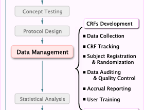 CLINICAL DATA MANAGEMENT — Procedures and Protocols