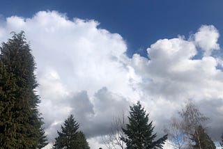 Kitchen sink weather in the Pacific Northwest