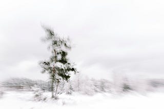 A blurry photo of a single tree bent in the snow