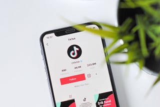 What Goes Into Making an App like TikTok