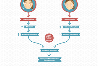 The Thyroid-Histamine Connection