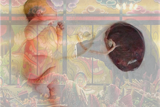Spirited Away by The Placental Other-Self
