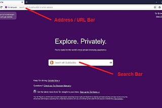 How to Use Tor Browser (Browsing the Deep / Dark Web)