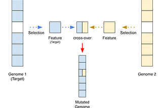 Optimization Inspired by Biological Genome Evolution