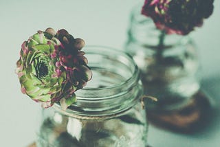 Cut flowers in mason jars of water with reflection