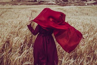 a woman in a red dress walking through wheat fields holding out a red cloak