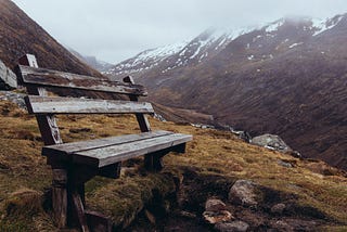 bench in nature