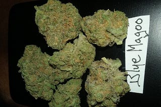 Blue Magoo Cannabis (Weed) Strain Review