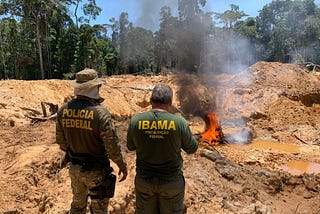 A IMPORTÂNCIA DE ÓRGÃOS DE PROTEÇÃO AMBIENTAL