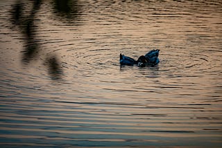 Dua Belas Hal yang Kutulis di Tepi Danau Sambil Memikirkanmu