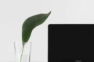 Unleashing Potential with the HP Pavilion Plus 14: A Game Changer for AI Enthusiasts