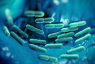 Soulagez vos intestins grâce à ces milliards de soldats microscopiques