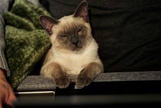 Why I Hate Open-Ended Questions In Social Media Marketing