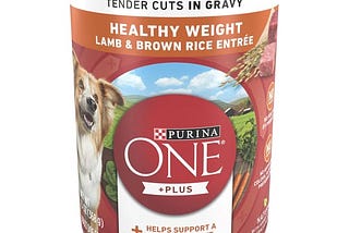 purina-one-wet-dog-food-wholesome-lamb-brown-rice-12-pack-13-oz-cans-1