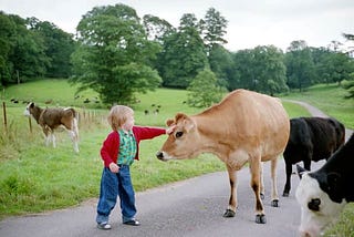 How we can end the single biggest cause of animal suffering on the planet