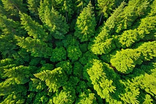 Jackets-Green-1