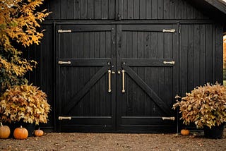 Black-Barn-Door-1