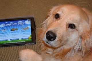 Why Dogs Don’t Use The Internet